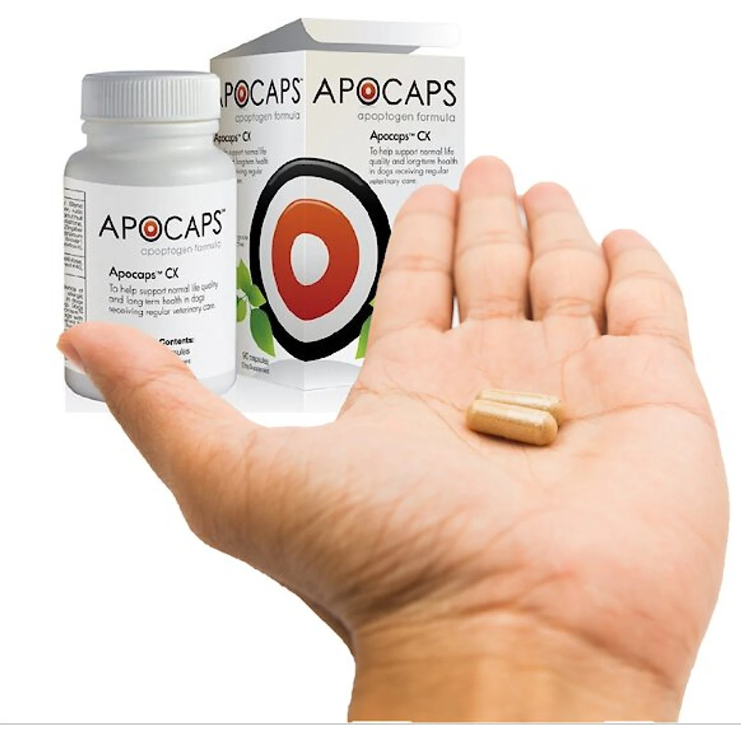 Apocaps CX Apoptogen Formula Dog Supplement 3 Apocaps CX Apoptogen Formula Dog Supplement - Image 3