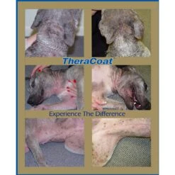 Davis TheraCoat Dog & Cat Supplement 7 Davis TheraCoat Dog & Cat Supplement -Pet Wellness 135107 PT3. AC SS1800 V1503079548