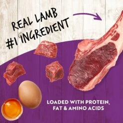 Earthborn Holistic K95 Lamb Recipe Grain-Free Canned Dog Food 12 Earthborn Holistic K95 Lamb Recipe Grain-Free Canned Dog Food -Pet Wellness 135406 PT4. AC SS1800 V1633557375