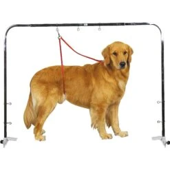 Master Equipment Overhead Dog Grooming Arm