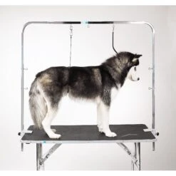 Master Equipment Overhead Dog Grooming Arm -Pet Wellness 136363 PT3. AC SS1800 V1504025444