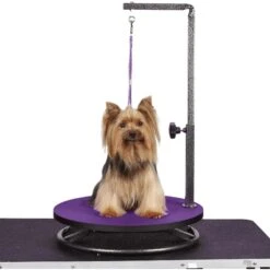 Master Equipment Small Dog & Cat Grooming Table -Pet Wellness 136394 PT2. AC SS1800 V1507152638