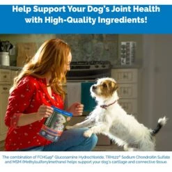 Nutramax Cosequin Maximum Strength Chewable Tablet Joint Health Supplement For Dogs -Pet Wellness 136947 PT5. AC SS1800 V1624308797