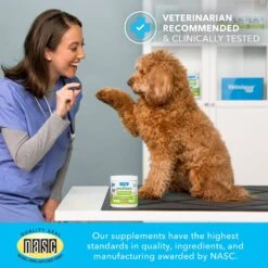 Vetnique Labs Profivex Probiotics 5-Strain Pork Pet Digestive Health Probiotic Prebiotic & Fiber Powder Dog & Cat Supplement -Pet Wellness 137034 PT5. AC SS1800 V1657655415