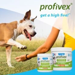 Vetnique Labs Profivex Probiotics 5-Strain Pork Pet Digestive Health Probiotic Prebiotic & Fiber Powder Dog & Cat Supplement -Pet Wellness 137034 PT6. AC SS1800 V1657655415