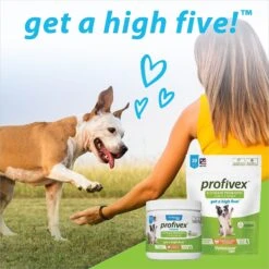 Vetnique Labs Profivex Probiotics 5-Strain Pork Pet Digestive Health Probiotic Prebiotic & Fiber Powder Dog & Cat Supplement -Pet Wellness 137034 PT7. AC SS1800 V1618267616