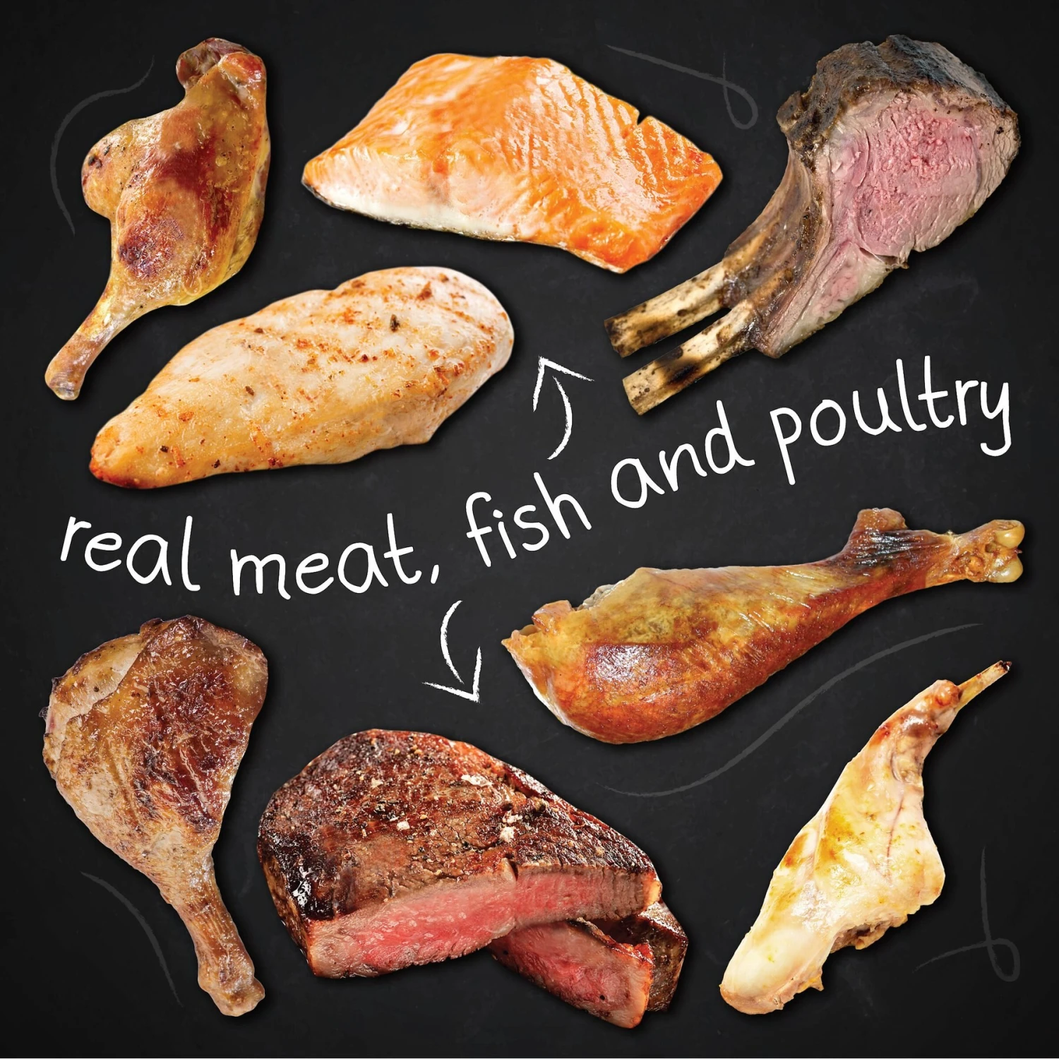 Hound & Gatos 98% Gamebird Poultry Grain-Free Dog Food 6 Hound & Gatos 98% Gamebird Poultry Grain-Free Dog Food - Image 6