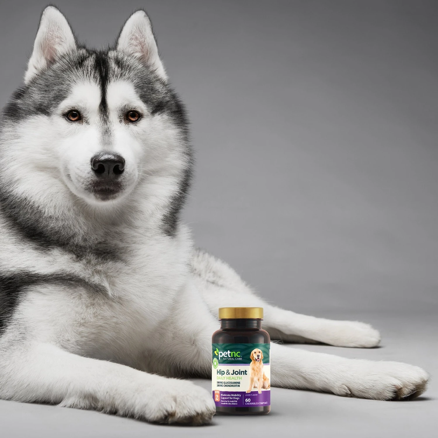 PetNC Natural Care Hip & Joint Daily Health Level 2 Chewable Tablet Dog Supplement 7 PetNC Natural Care Hip & Joint Daily Health Level 2 Chewable Tablet Dog Supplement - Image 7