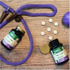 PetNC Natural Care Hip & Joint Daily Health Level 3 Liver Flavor Chewable Tablet Dog Supplement -Pet Wellness 138393 PT6. AC SS1800 V1617060473