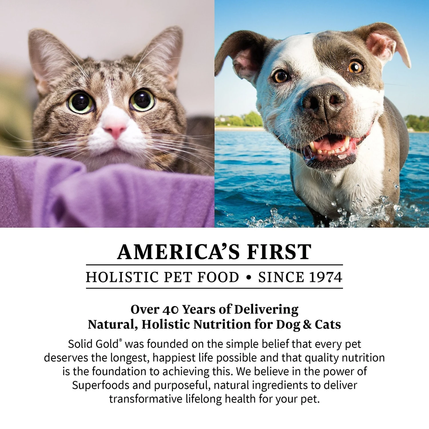 Solid Gold Advanced Joint Health Maximum Impact Soft Chews Grain-Free Supplement For Dogs 6 Solid Gold Advanced Joint Health Maximum Impact Soft Chews Grain-Free Supplement For Dogs - Image 6