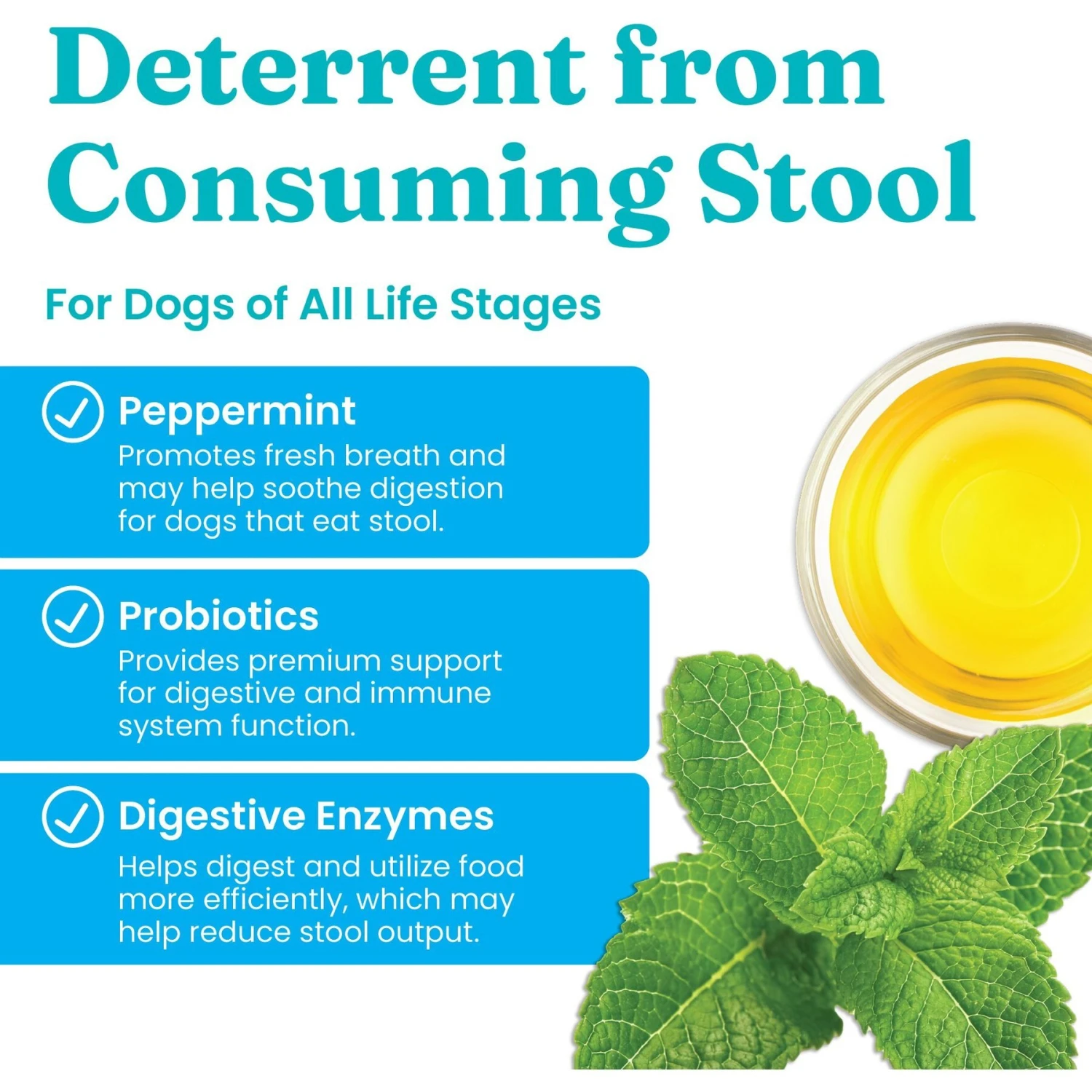 Solid Gold Stop Eating Poop + Breath Aid Soft Chews Grain-Free Supplements For Dogs 2 Solid Gold Stop Eating Poop + Breath Aid Soft Chews Grain-Free Supplements For Dogs - Image 2