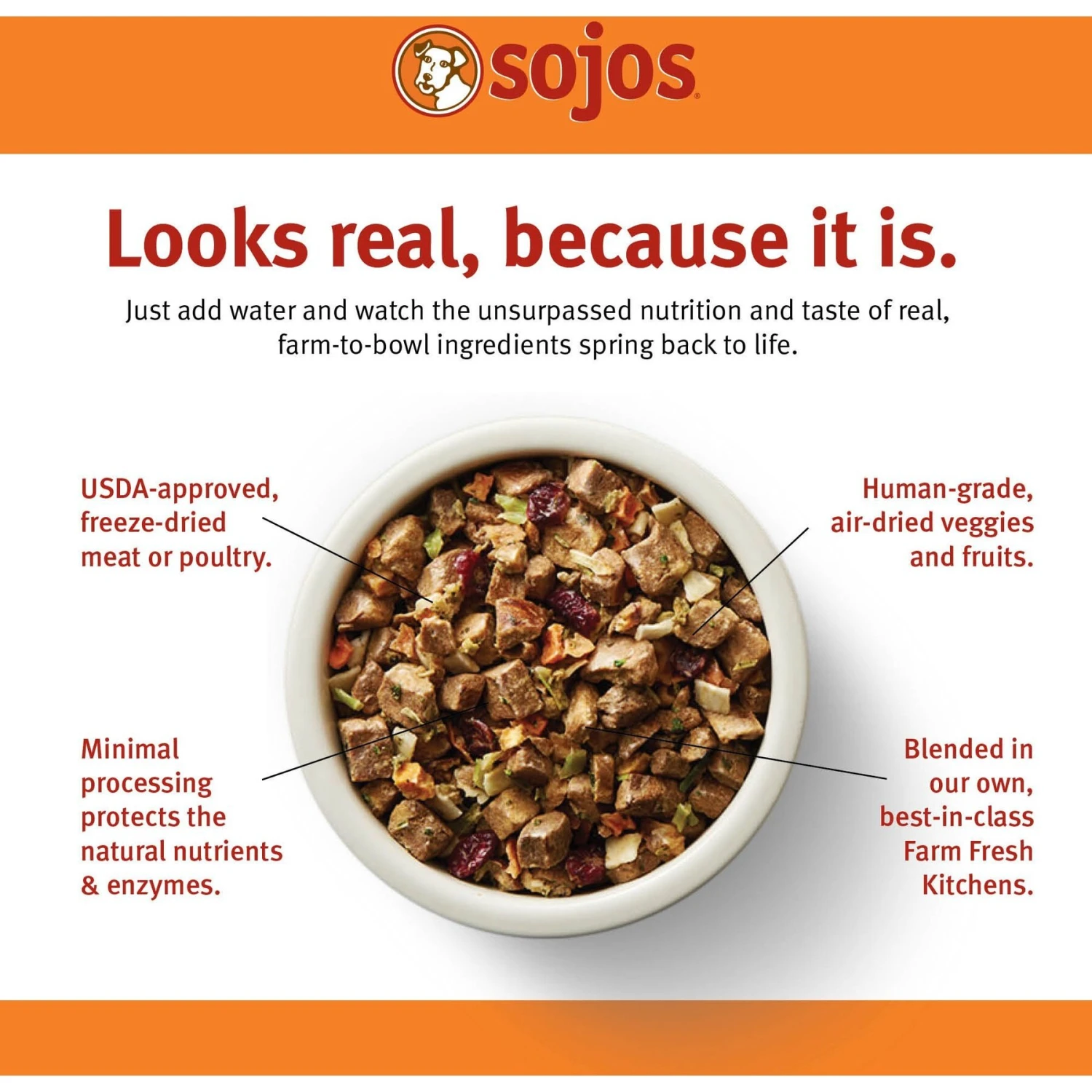 Sojos Complete Turkey Recipe Adult Grain-Free Freeze-Dried Raw Dog Food 2 Sojos Complete Turkey Recipe Adult Grain-Free Freeze-Dried Raw Dog Food - Image 2