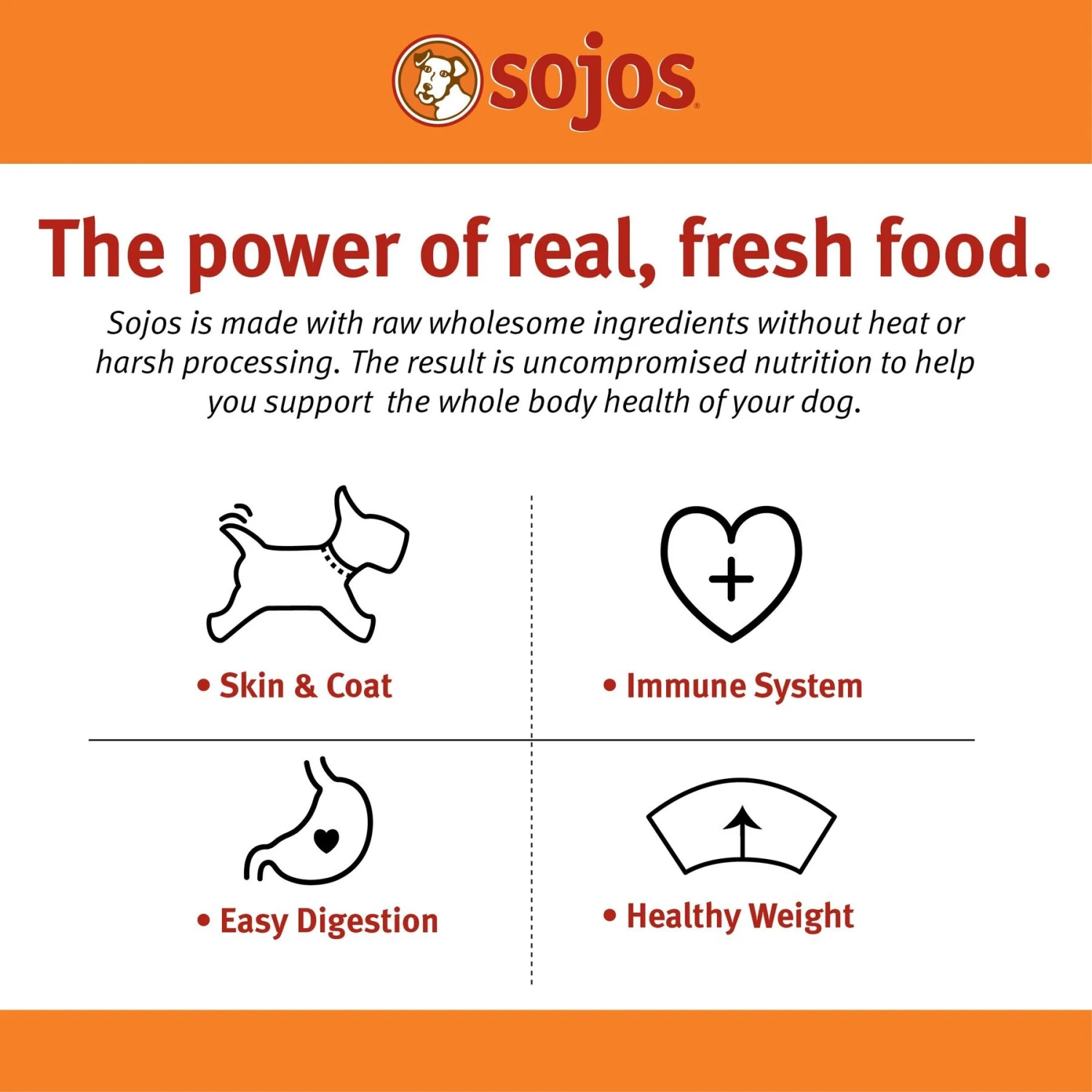 Sojos Complete Turkey Recipe Adult Grain-Free Freeze-Dried Raw Dog Food 3 Sojos Complete Turkey Recipe Adult Grain-Free Freeze-Dried Raw Dog Food - Image 3