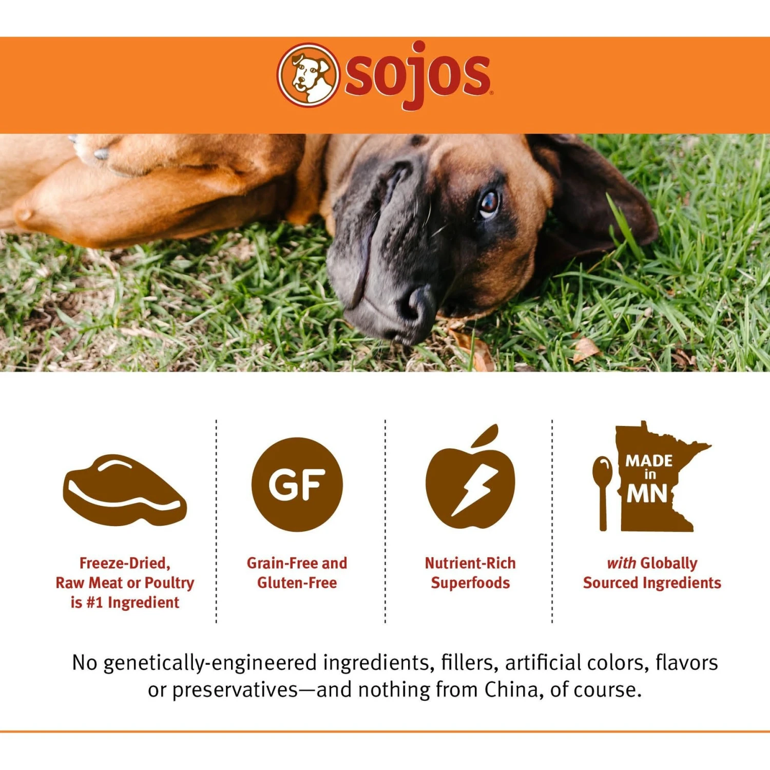 Sojos Complete Beef Recipe Adult Grain-Free Freeze-Dried Raw Dog Food 5 Sojos Complete Beef Recipe Adult Grain-Free Freeze-Dried Raw Dog Food - Image 5