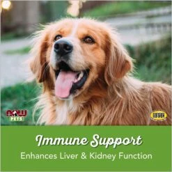 NOW Pets Immune Support Dog & Cat Supplement -Pet Wellness 140254 PT2. AC SS1800 V1622237166
