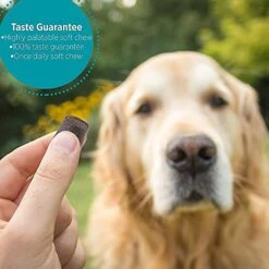 ActivPhy Hip + Joint Soft Chews Senior Dog Supplement -Pet Wellness 140628 PT4. AC SS1800 V1574691224