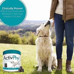 ActivPhy Hip + Joint Soft Chews Senior Dog Supplement -Pet Wellness 140628 PT5. AC SS1800 V1574691224