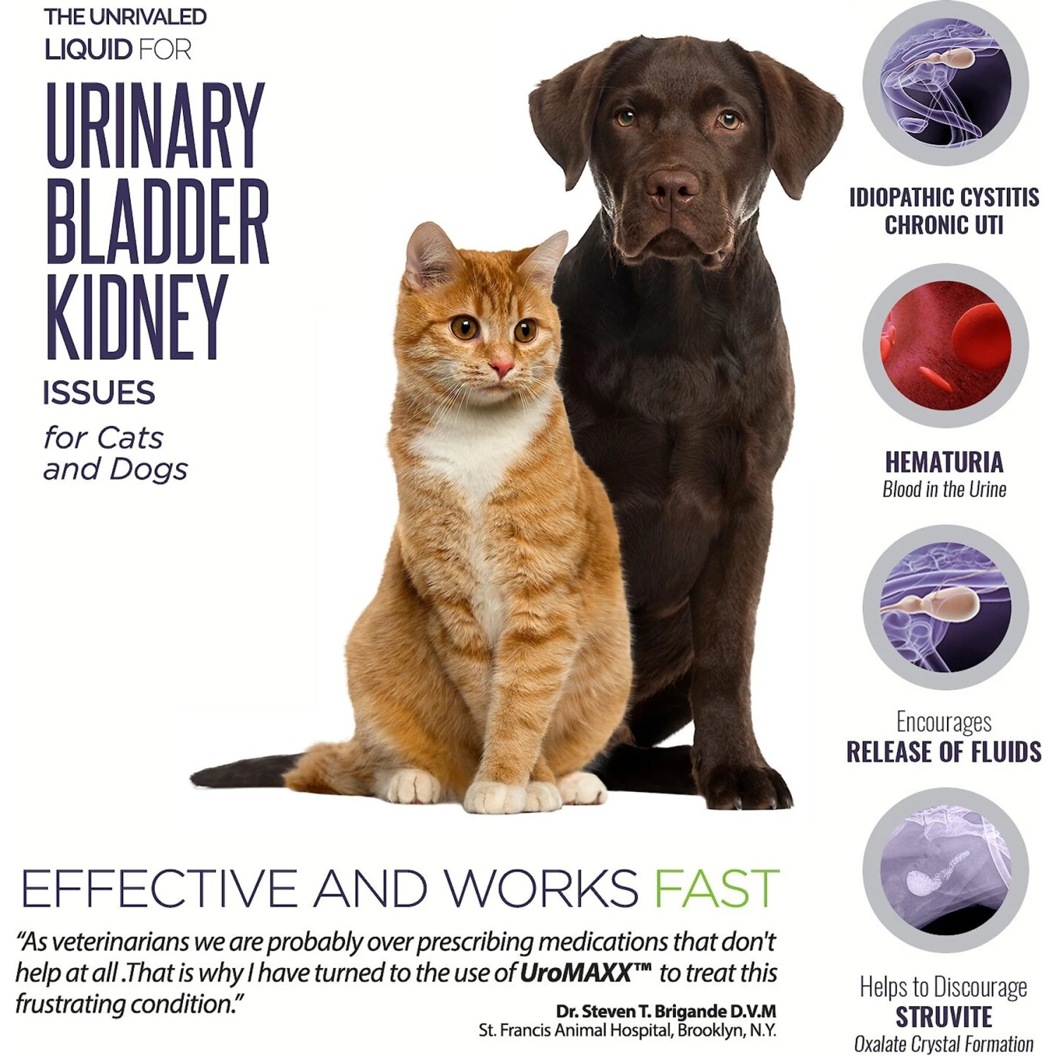 Animal Nutritional Products UroMAXX Urinary, Kidney & Bladder Dog & Cat Supplement, 6-oz Bottle 2 Animal Nutritional Products UroMAXX Urinary, Kidney & Bladder Dog & Cat Supplement, 6-oz Bottle - Image 2