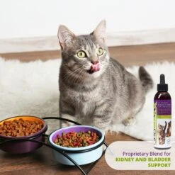 Animal Nutritional Products UroMAXX Urinary, Kidney & Bladder Dog & Cat Supplement, 6-oz Bottle 16 Animal Nutritional Products UroMAXX Urinary, Kidney & Bladder Dog & Cat Supplement, 6-oz Bottle -Pet Wellness 140797 PT7. AC SS1800 V1511369001