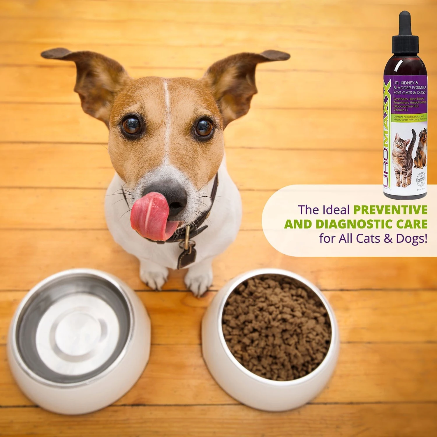 Animal Nutritional Products UroMAXX Urinary, Kidney & Bladder Dog & Cat Supplement, 6-oz Bottle 9 Animal Nutritional Products UroMAXX Urinary, Kidney & Bladder Dog & Cat Supplement, 6-oz Bottle - Image 9