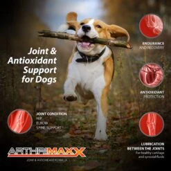 Animal Nutritional Products ArthriMAXX Joint Support & Antioxidant Dog Supplement, 32-oz Bottle -Pet Wellness 140799 PT3. AC SS1800 V1652746287