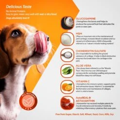 Animal Nutritional Products ArthriMAXX Joint Support & Antioxidant Dog Supplement, 32-oz Bottle -Pet Wellness 140799 PT4. AC SS1800 V1657655538