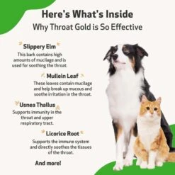 Pet Wellbeing Throat Gold Bacon Flavored Liquid Respiratory Supplement For Dogs & Cats 14 Pet Wellbeing Throat Gold Bacon Flavored Liquid Respiratory Supplement For Dogs & Cats -Pet Wellness 140864 PT5. AC SS1800 V1696281069