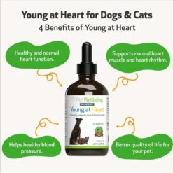 Pet Wellbeing Young At Heart Bacon Flavored Liquid Heart Supplement For Dogs & Cats -Pet Wellness 140866 PT3. AC SS1800 V1696344954
