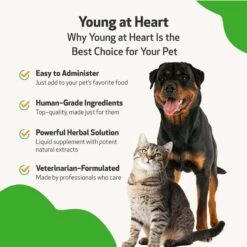 Pet Wellbeing Young At Heart Bacon Flavored Liquid Heart Supplement For Dogs & Cats -Pet Wellness 140866 PT4. AC SS1800 V1696281073
