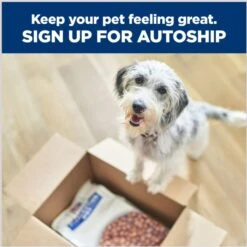 Hill's Prescription Diet I/d Digestive Care Small Bites Chicken Flavor Dry Adult & Puppy Dog Food -Pet Wellness 141044 PT6. AC SS1800 V1687982888