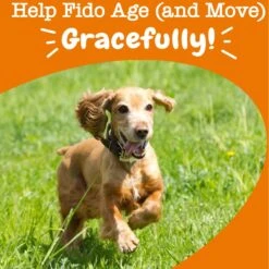 Zesty Paws Advanced Mobility Bites Chicken Flavored Soft Chews Glucosamine Hip & Joint Supplement For Senior Dogs -Pet Wellness 141492 PT4. AC SS1800 V1703623564