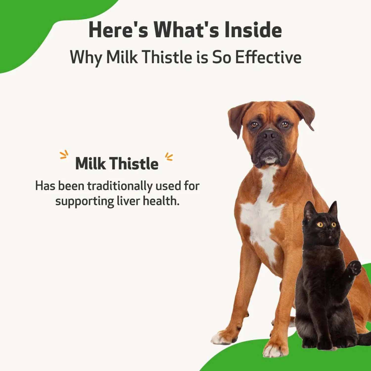 Pet Wellbeing Milk Thistle Bacon Flavored Liquid Liver Supplement For Dogs & Cats 6 Pet Wellbeing Milk Thistle Bacon Flavored Liquid Liver Supplement For Dogs & Cats - Image 6