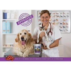 Hanzi Pets Tru-Krill Antarctic Krill Oil Omega-3 & Astaxanthin Dog & Cat Soft Chews 13 Hanzi Pets Tru-Krill Antarctic Krill Oil Omega-3 & Astaxanthin Dog & Cat Soft Chews -Pet Wellness 141800 PT6. AC SS1800 V1516030238