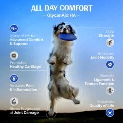 TopDog Health GlycanAid HA Factor Hip & Joint Chewables Dog Supplement 15 TopDog Health GlycanAid HA Factor Hip & Joint Chewables Dog Supplement -Pet Wellness 142359 PT6. AC SS1800 V1659996316