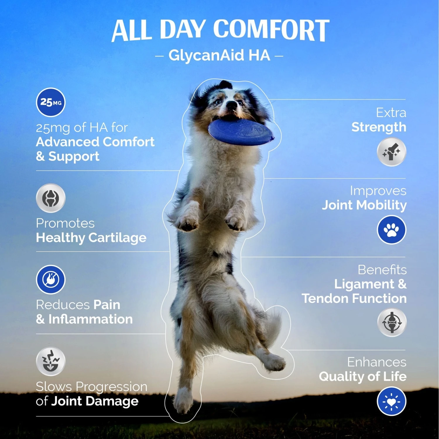 TopDog Health GlycanAid HA Factor Hip & Joint Chewables Dog Supplement 7 TopDog Health GlycanAid HA Factor Hip & Joint Chewables Dog Supplement - Image 7