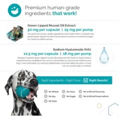 TopDog Health Flexerna Omega Liquid Dog Supplement -Pet Wellness 142361 PT7. AC SS1800 V1659995454