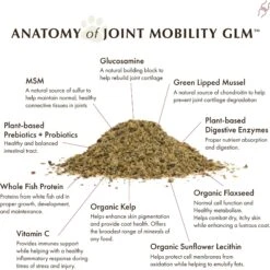 Wholistic Pet Organics Joint Mobility GLM Enhanced Multivitamin With Joint Support For Dogs & Cats Supplement 10 Wholistic Pet Organics Joint Mobility GLM Enhanced Multivitamin With Joint Support For Dogs & Cats Supplement -Pet Wellness 142747 PT4. AC SS1800 V1683050633