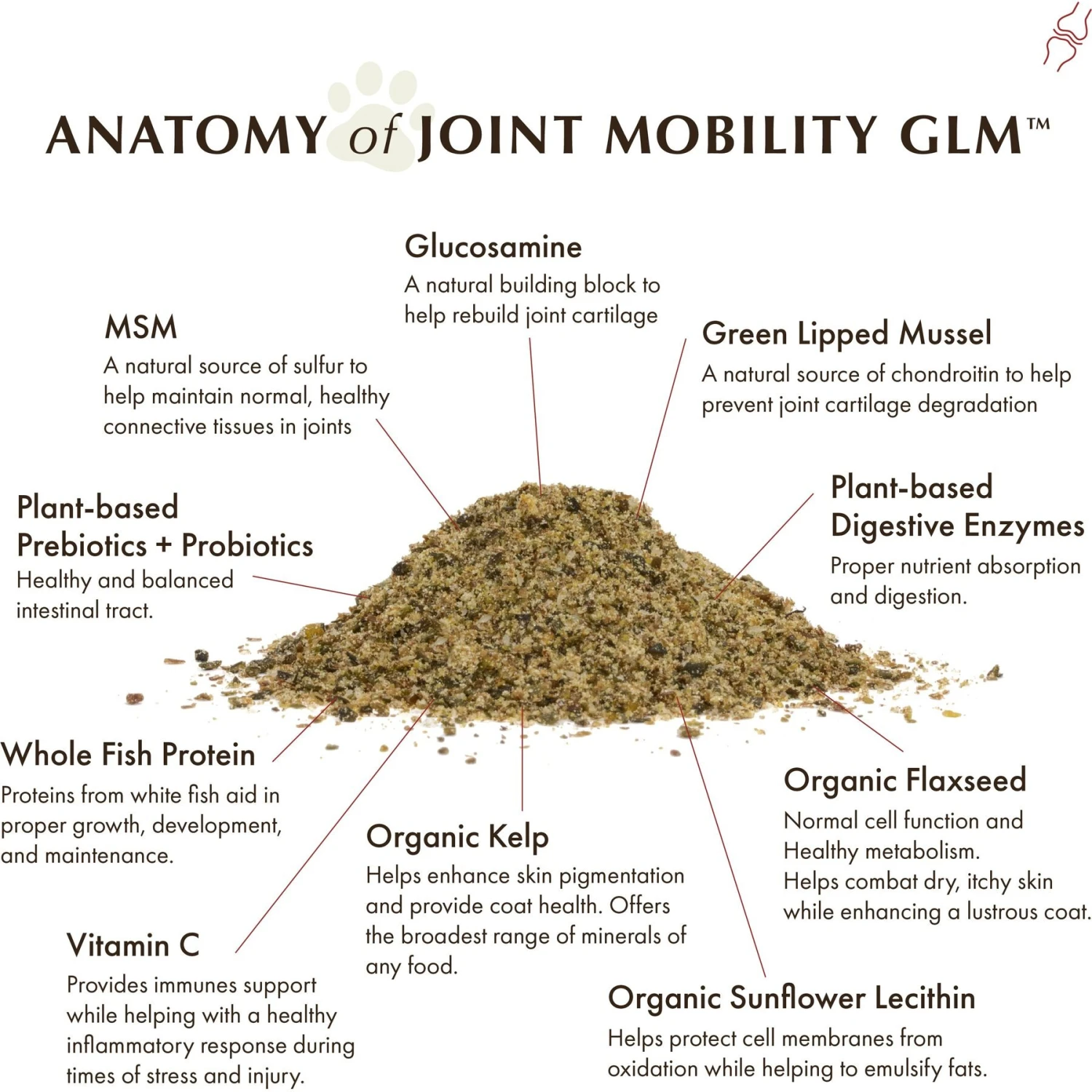 Wholistic Pet Organics Joint Mobility GLM Enhanced Multivitamin With Joint Support For Dogs & Cats Supplement 5 Wholistic Pet Organics Joint Mobility GLM Enhanced Multivitamin With Joint Support For Dogs & Cats Supplement - Image 5