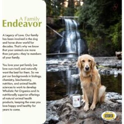 Wholistic Pet Organics Joint Mobility GLM Enhanced Multivitamin With Joint Support For Dogs & Cats Supplement 11 Wholistic Pet Organics Joint Mobility GLM Enhanced Multivitamin With Joint Support For Dogs & Cats Supplement -Pet Wellness 142747 PT5. AC SS1800 V1683050335