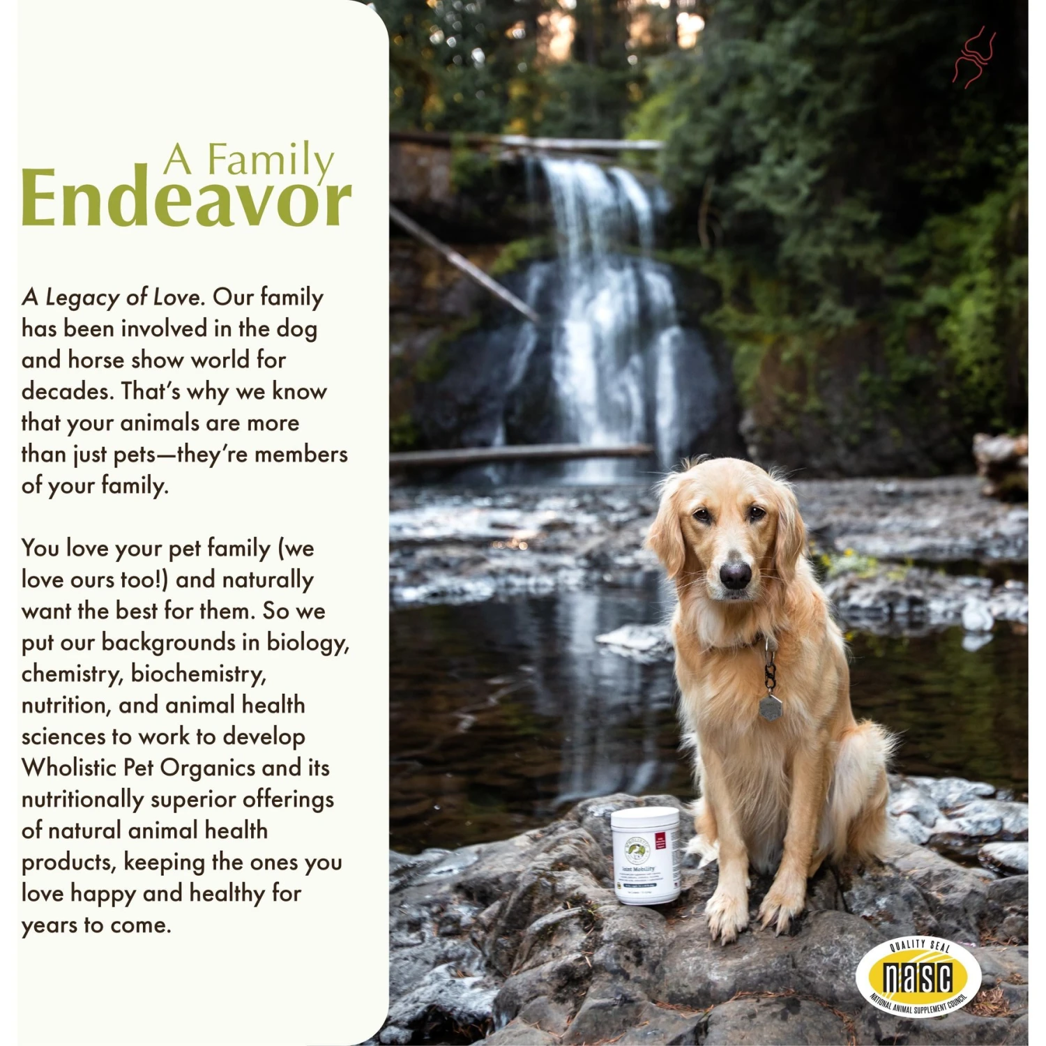 Wholistic Pet Organics Joint Mobility GLM Enhanced Multivitamin With Joint Support For Dogs & Cats Supplement 6 Wholistic Pet Organics Joint Mobility GLM Enhanced Multivitamin With Joint Support For Dogs & Cats Supplement - Image 6