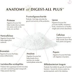Wholistic Pet Organics Digest-All Plus Digestive Support For Dogs & Cats Supplement -Pet Wellness 142751 PT4. AC SS1800 V1683050332