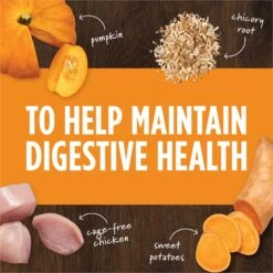 Instinct Freeze-Dried Raw Boost Mixers Grain-Free Gut Health Recipe Dog Food Topper 12 Instinct Freeze-Dried Raw Boost Mixers Grain-Free Gut Health Recipe Dog Food Topper -Pet Wellness 143195 PT3. AC SS1800 V1690574281