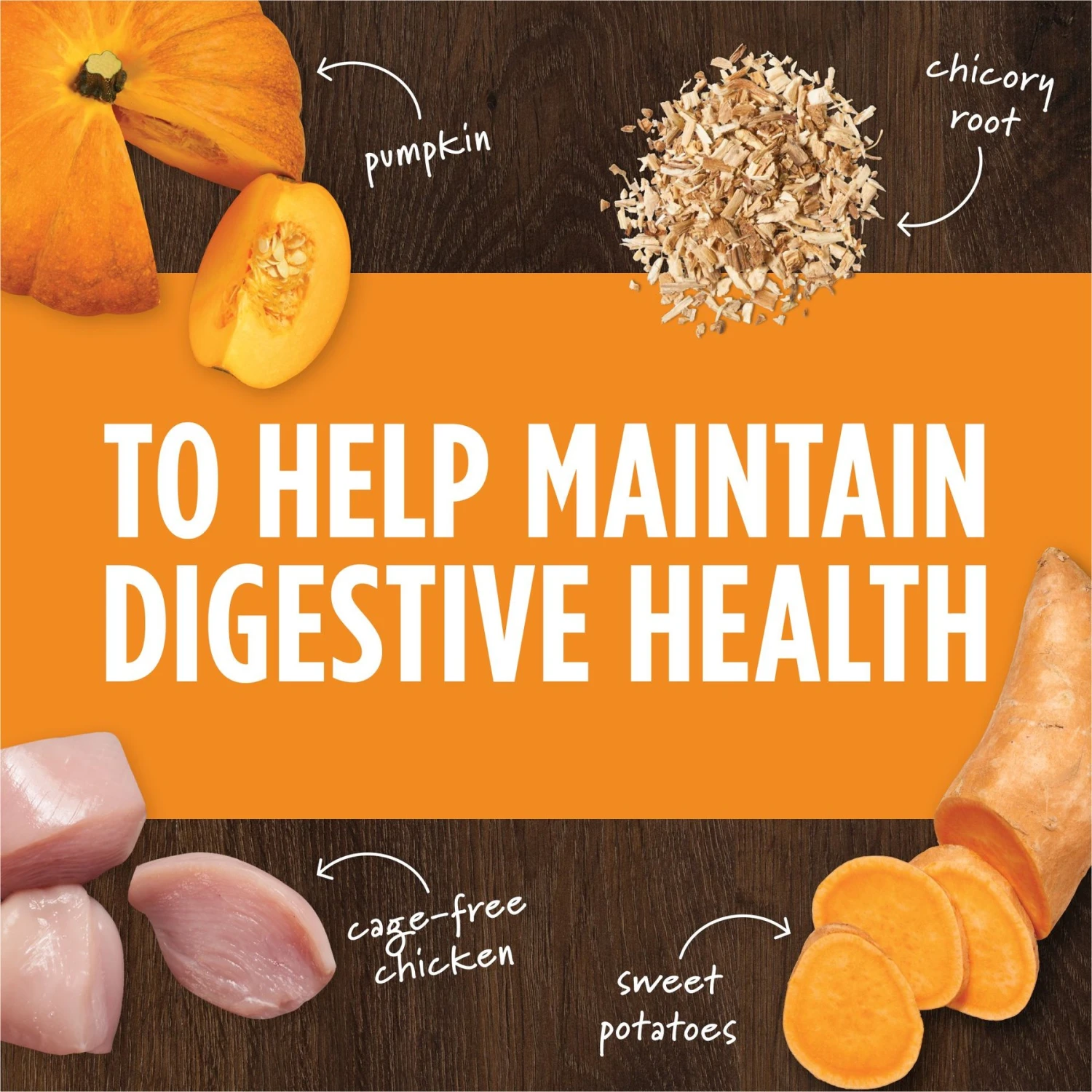 Instinct Freeze-Dried Raw Boost Mixers Grain-Free Gut Health Recipe Dog Food Topper 4 Instinct Freeze-Dried Raw Boost Mixers Grain-Free Gut Health Recipe Dog Food Topper - Image 4