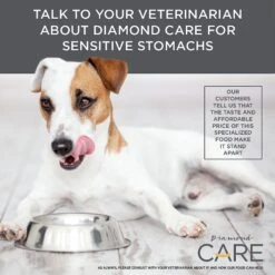 Diamond Care Sensitive Stomach Formula Adult Grain-Free Dry Dog Food -Pet Wellness 143248 PT6. AC SS1800 V1587655593