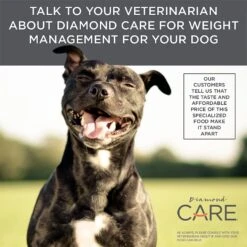 Diamond Care Weight Management Formula Adult Grain-Free Dry Dog Food -Pet Wellness 143251 PT6. AC SS1800 V1587655634