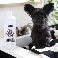 Skout's Honor Professional Strength Skunk Odor Eliminator, 32-oz Bottle -Pet Wellness 143438 PT5. AC SS1800 V1658216781