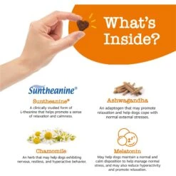 Zesty Paws Advanced Hemp Melatonin Calming Bites Turkey Flavored Soft Chews Composure Supplement For Dogs -Pet Wellness 144154 PT2. AC SS1800 V1699634713