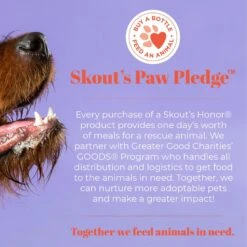 Skout's Honor Probiotic Honeysuckle Pet Shampoo & Conditioner, 16-oz Bottle -Pet Wellness 144675 PT8. AC SS1800 V1658190299