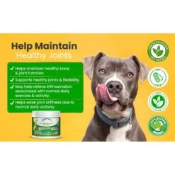 Infinite Pet Life All-Natural Hip & Joint Powder Dog Supplement