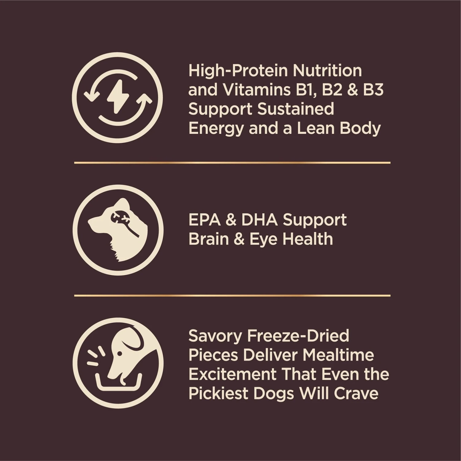 Wellness CORE RawRev Grain-Free Puppy Recipe With Freeze-Dried Turkey Dry Dog Food 4 Wellness CORE RawRev Grain-Free Puppy Recipe With Freeze-Dried Turkey Dry Dog Food - Image 4